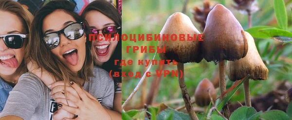 мескалин Горнозаводск
