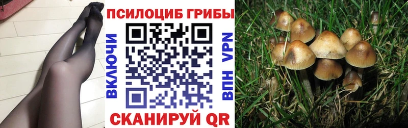 Купить закладки  Магадан  Галлюциногенные грибы мухоморы 