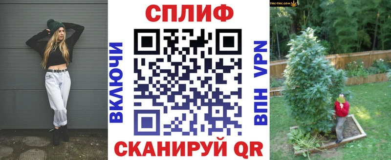 Купить закладки  Магадан  Марихуана сатива 